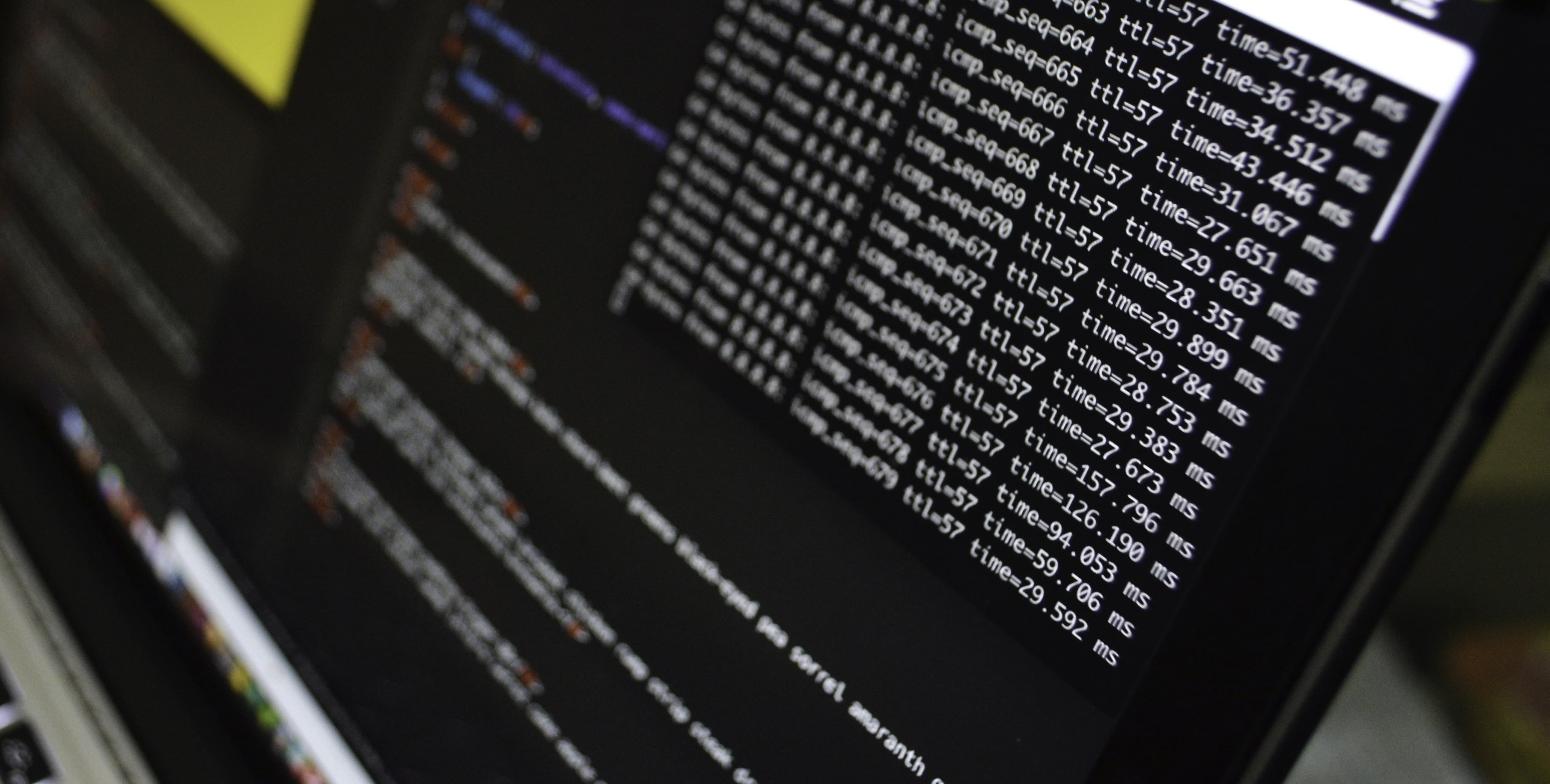 Screenshot of Go API Server